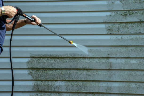 Best Patio and Deck Pressure Washing  in Montclair, VA